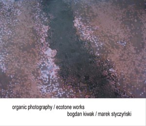 020-dzialania-w-ekotonie-kopia